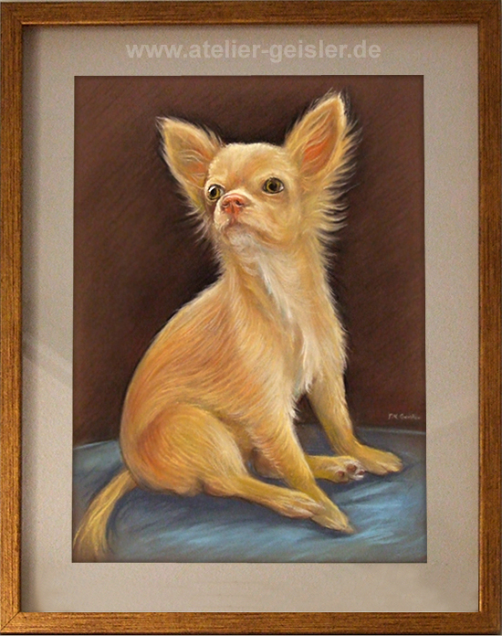 Hundeportrait in Pastell